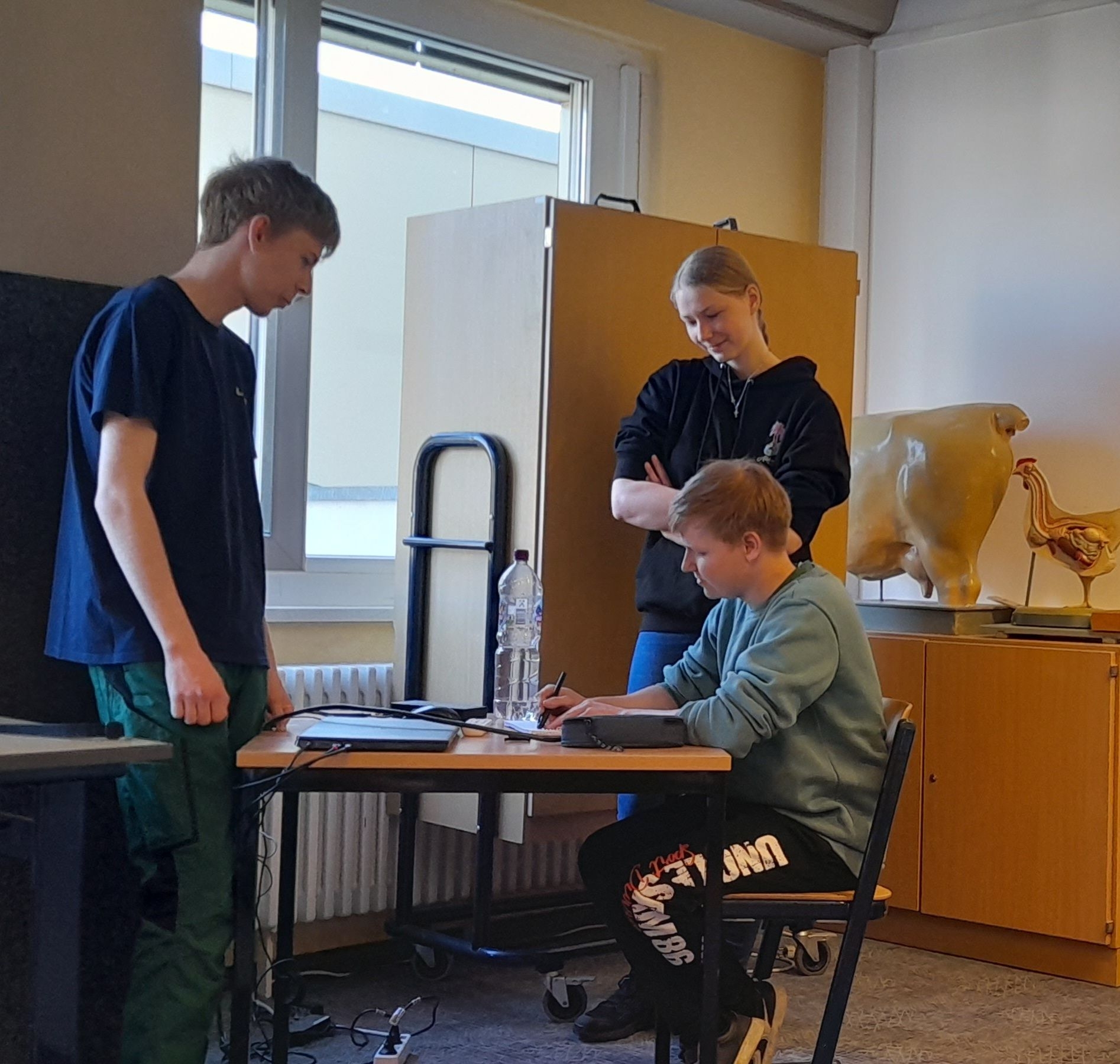 Bild der Galerie