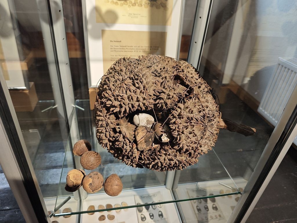 Bild: Rundes Ausstellungsstück