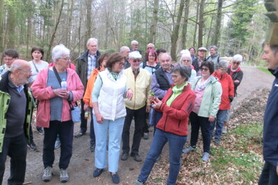 auf dem Weg zur Sausteige  (Bild vergr&ouml;&szlig;ern)