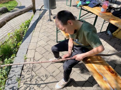 Foto des Albums: Klassenfahrt der S4