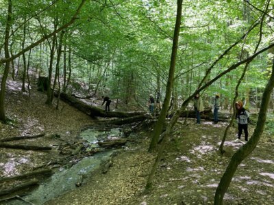 Foto des Albums: Klassenfahrt der S4