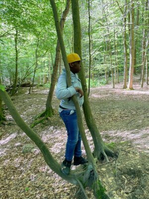 Foto des Albums: Klassenfahrt der S4