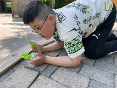 Foto des Albums: Klassenfahrt der S4