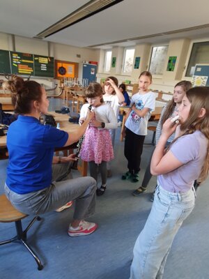 Foto des Albums: Aktionstag Musik im Schulhaus Hollstadt