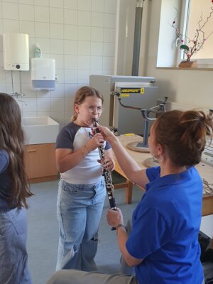 Foto des Albums: Aktionstag Musik im Schulhaus Hollstadt