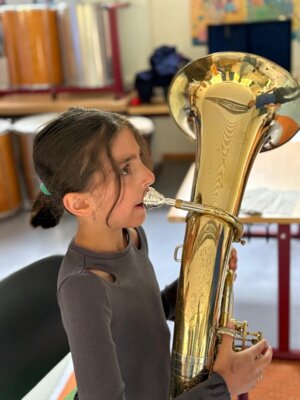 Foto des Albums: Aktionstag Musik im Schulhaus Hollstadt