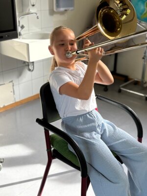 Foto des Albums: Aktionstag Musik im Schulhaus Hollstadt