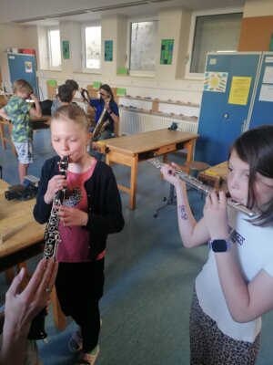 Foto des Albums: Aktionstag Musik im Schulhaus Hollstadt