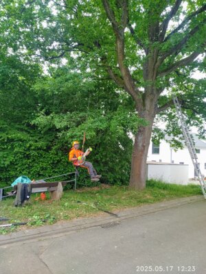 Hier kommt man nur mit Seilklettertechnik in die H&ouml;he  (Bild vergr&ouml;&szlig;ern)