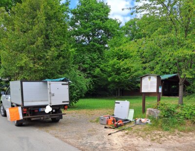 Fachgerechte Ausstattung und Fachkompetenz sichert den gesunden Baum  (Bild vergr&ouml;&szlig;ern)