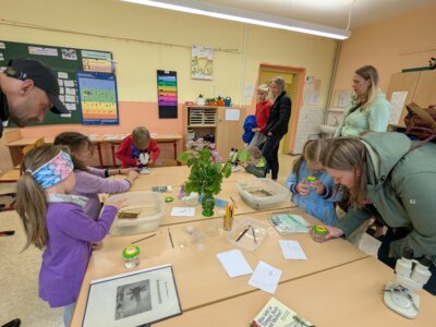 Foto des Albums: „Tag der offenen Tür“ – Es war so schön!