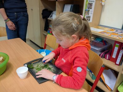 Foto des Albums: „Tag der offenen Tür“ – Es war so schön!