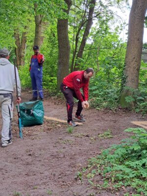 Foto des Albums: 20.Brüssower Pokallauf