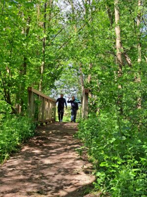 Foto des Albums: 20.Brüssower Pokallauf