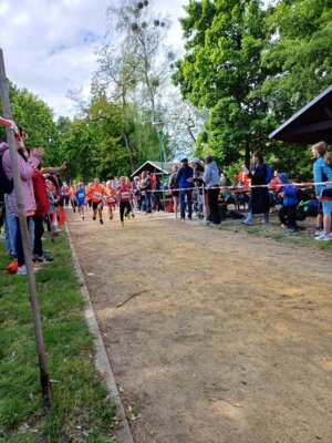 Foto des Albums: 20.Brüssower Pokallauf