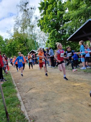 Foto des Albums: 20.Brüssower Pokallauf