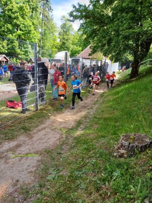 Foto des Albums: 20.Brüssower Pokallauf