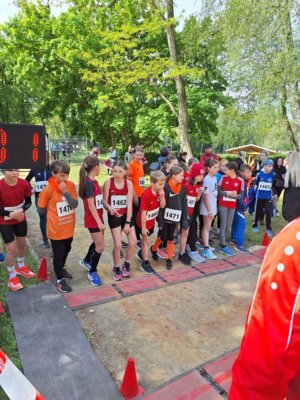 Foto des Albums: 20.Brüssower Pokallauf