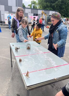 Foto des Albums: Spielfest