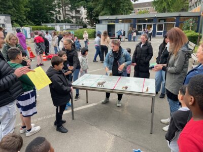 Foto des Albums: Spielfest