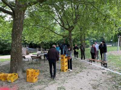 Foto des Albums: Spielfest