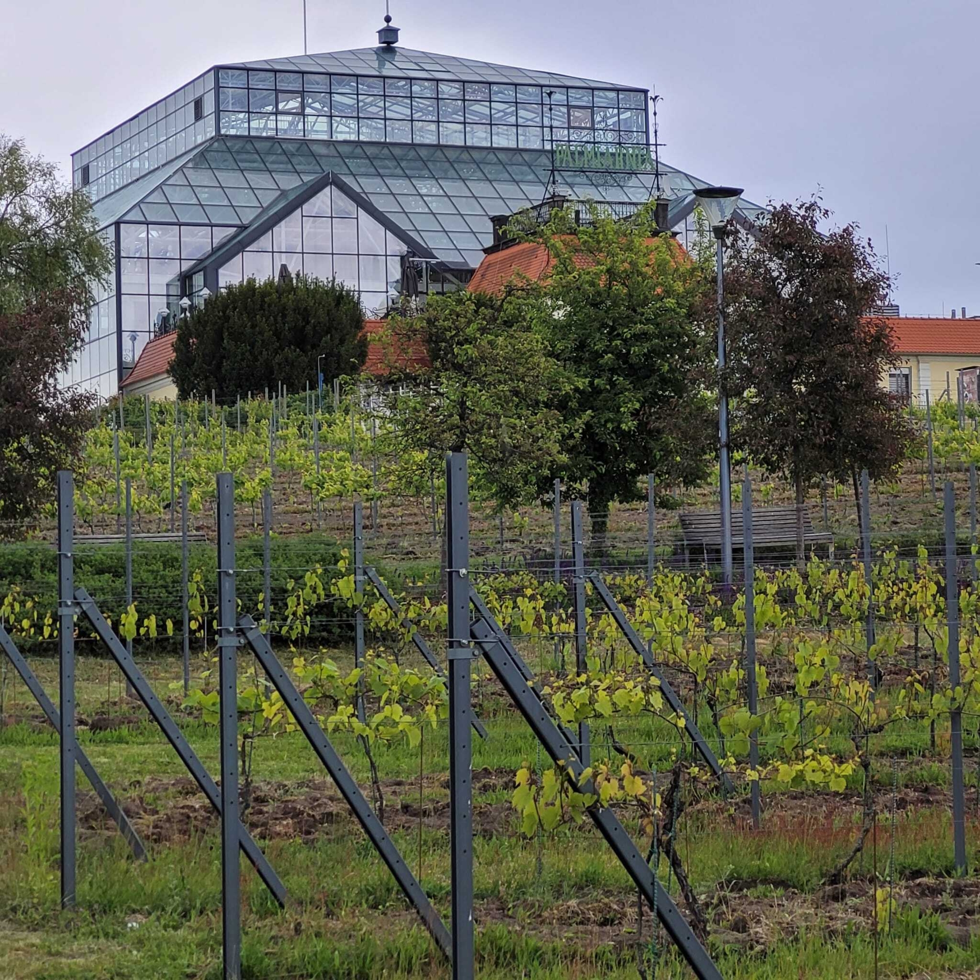 Bild: Palmenhaus