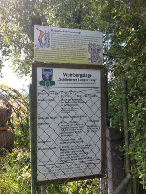 Schliebener Langer Berg. Ein Beispiel wie Vereinsinitiative Weinbau dauerhaft wiederbelebtt 