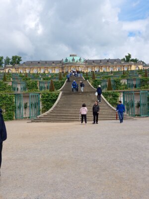 Die Terassen mit Weinst&ouml;cken 