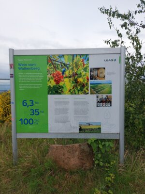 Infotafel &uuml;ber Weinanbau im ehemaligen Tagebau Welzow-S&uuml;d 