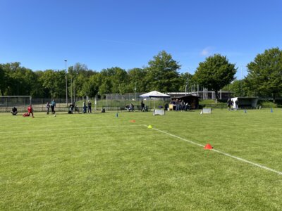 Foto des Albums: G-Jugend-Turnier VfB Zittau