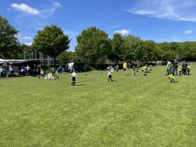 Foto des Albums: G-Jugend-Turnier VfB Zittau