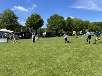 Foto des Albums: G-Jugend-Turnier VfB Zittau