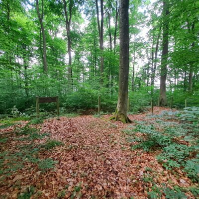 zum Standort des Kleinkastells  (Bild vergr&ouml;&szlig;ern)