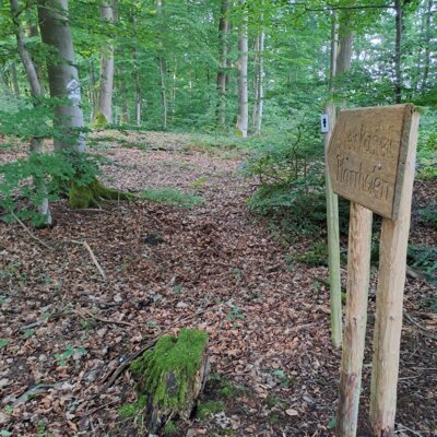 weist den Weg  (Bild vergr&ouml;&szlig;ern)