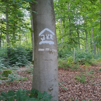 Erneuerte Markierung im Wald  (Bild vergr&ouml;&szlig;ern)