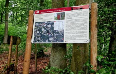 Alles wieder lesbar  (Bild vergr&ouml;&szlig;ern)