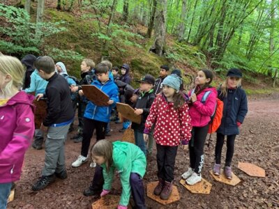 Foto des Albums: Waldjugendspiele Klasse 3