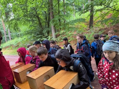 Foto des Albums: Waldjugendspiele Klasse 3