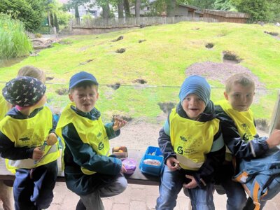 Foto des Albums: Ausflug zum Tierpark Nordhorn