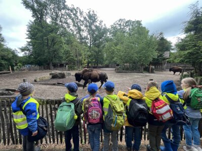 Foto des Albums: Ausflug zum Tierpark Nordhorn