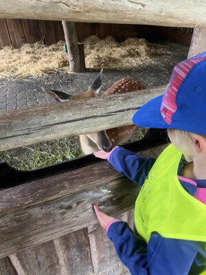 Foto des Albums: Ausflug zum Tierpark Nordhorn