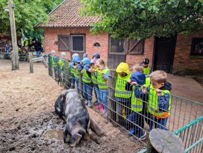 Foto des Albums: Ausflug zum Tierpark Nordhorn