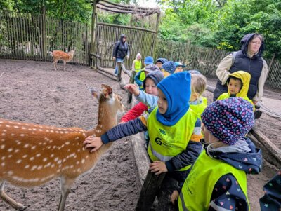 Foto des Albums: Ausflug zum Tierpark Nordhorn