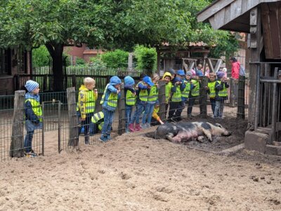 Foto des Albums: Ausflug zum Tierpark Nordhorn
