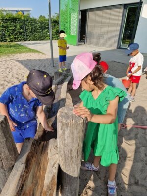 Foto des Albums: Wasserspaß im Sommer