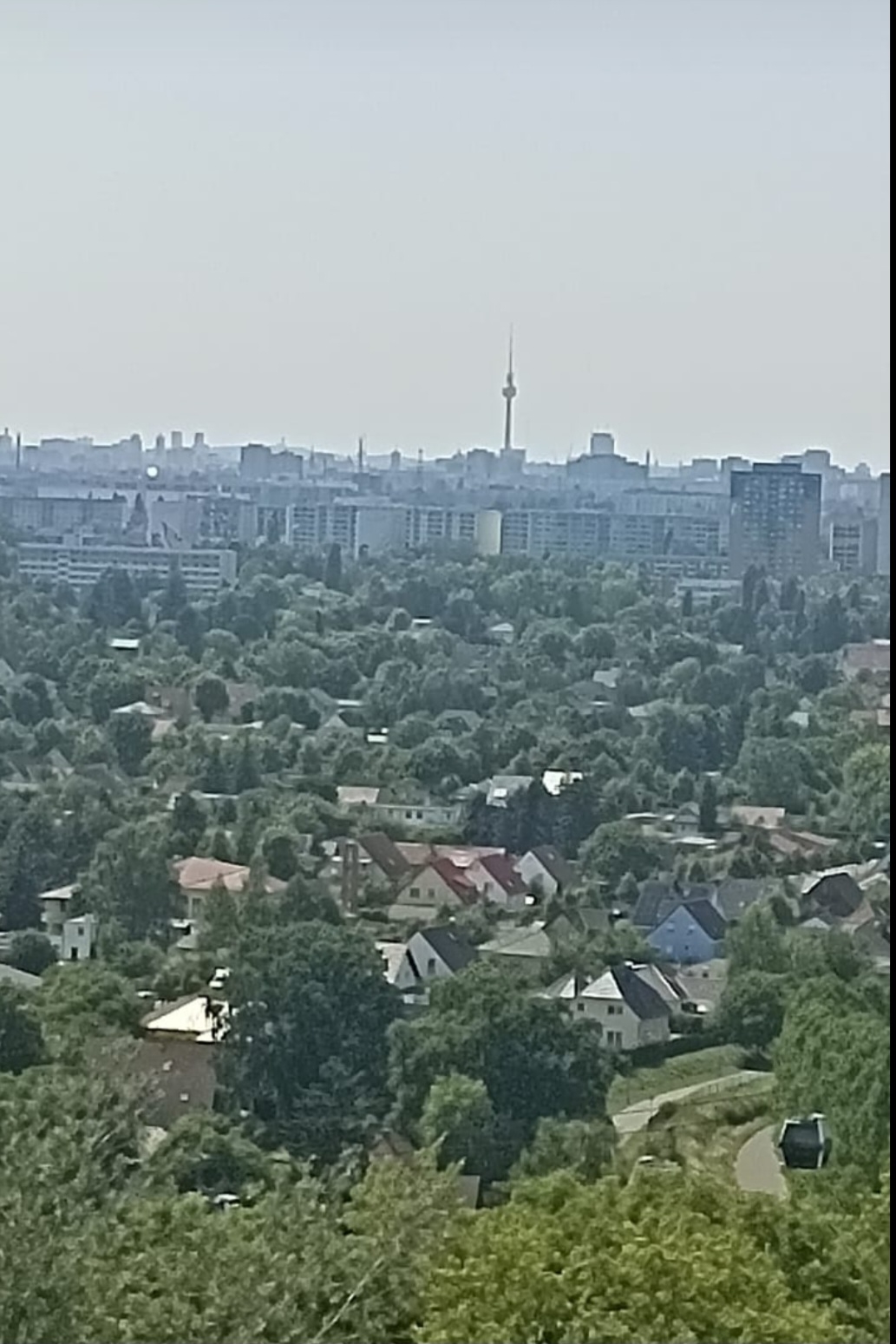Bild: Blick zum Fernsehturm