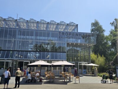 Balinesischer Garten in der Tropenhalle  (Bild vergr&ouml;&szlig;ern)