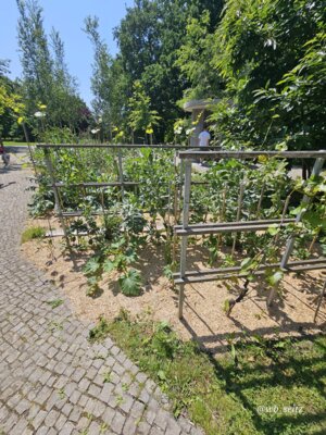 Foto des Albums: Berlin Gärten der Welt