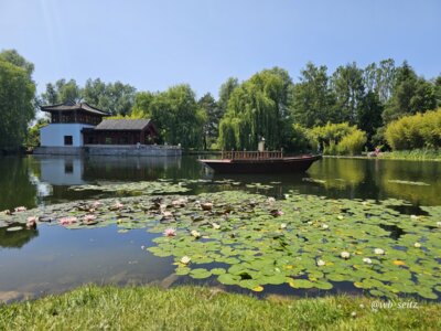 Foto des Albums: Berlin Gärten der Welt