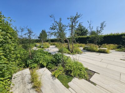 Foto des Albums: Berlin Gärten der Welt